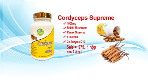ĐÔNG TRÙNG HẠ THẢO MAXLIFE CORDYCEPS